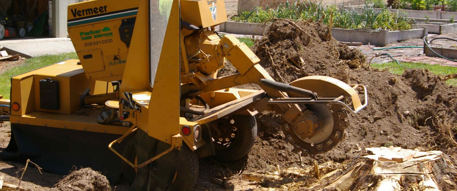 Jim's Tree Stump Removal and Stump Grinding Services