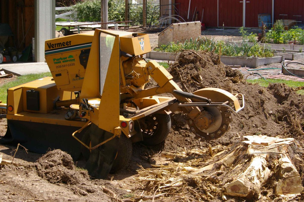 Jim's Tree Stump Removal and Stump Grinding Services