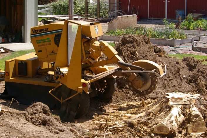Stump Grinding Services Jims Trees