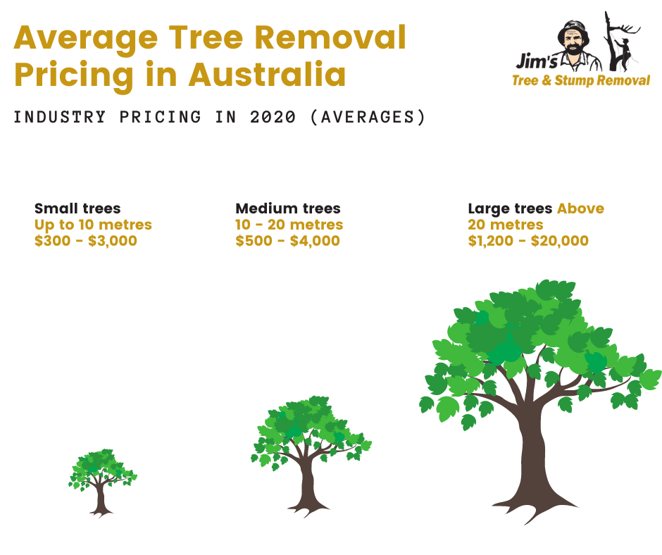 Tree Removal Cost & Pricing in 2024
