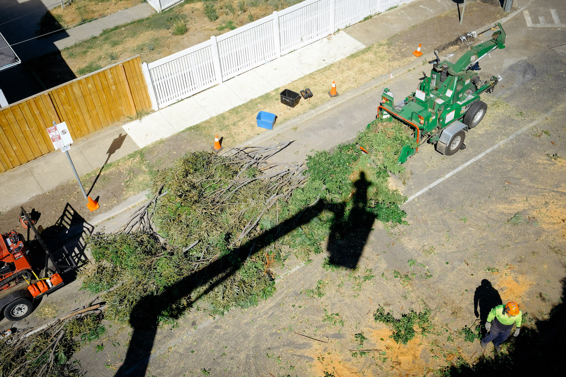 Land Clear Tree Clearing Services Jim S Trees