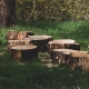 Tree stumps