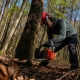 Man Cutting Down Tree From Stump In Protective Gear