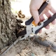 person pruning tree root