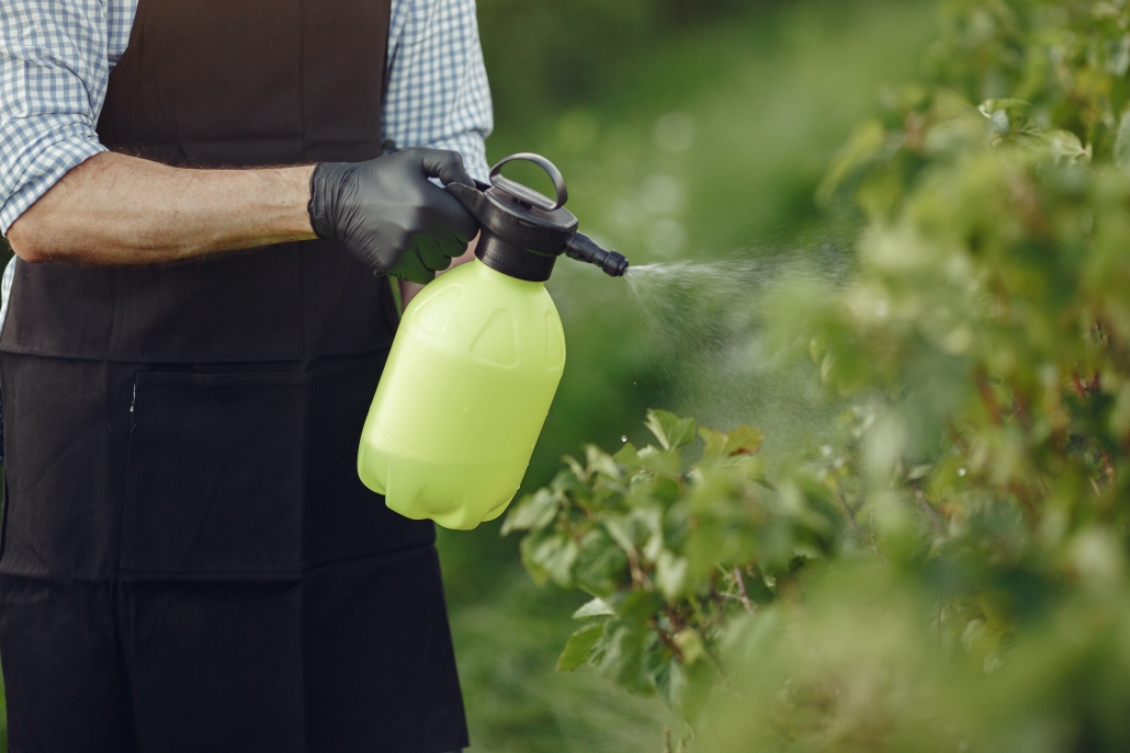 Fertiliser added to plant