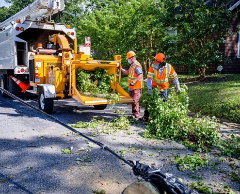 Two tree removalists in protective gear mulching trees.