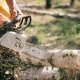 chainsaw cutting tree