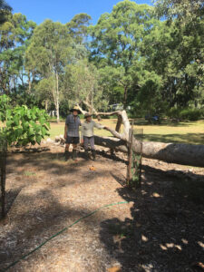 The Roberts happily commit to retaining a fallen tree to give back to the soil.