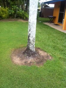 Herbicide overkill