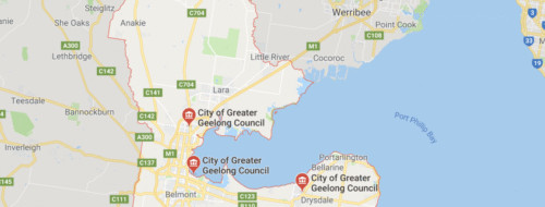 Geelong Tree Services: Everything from Tree Removal to Garden Mulch