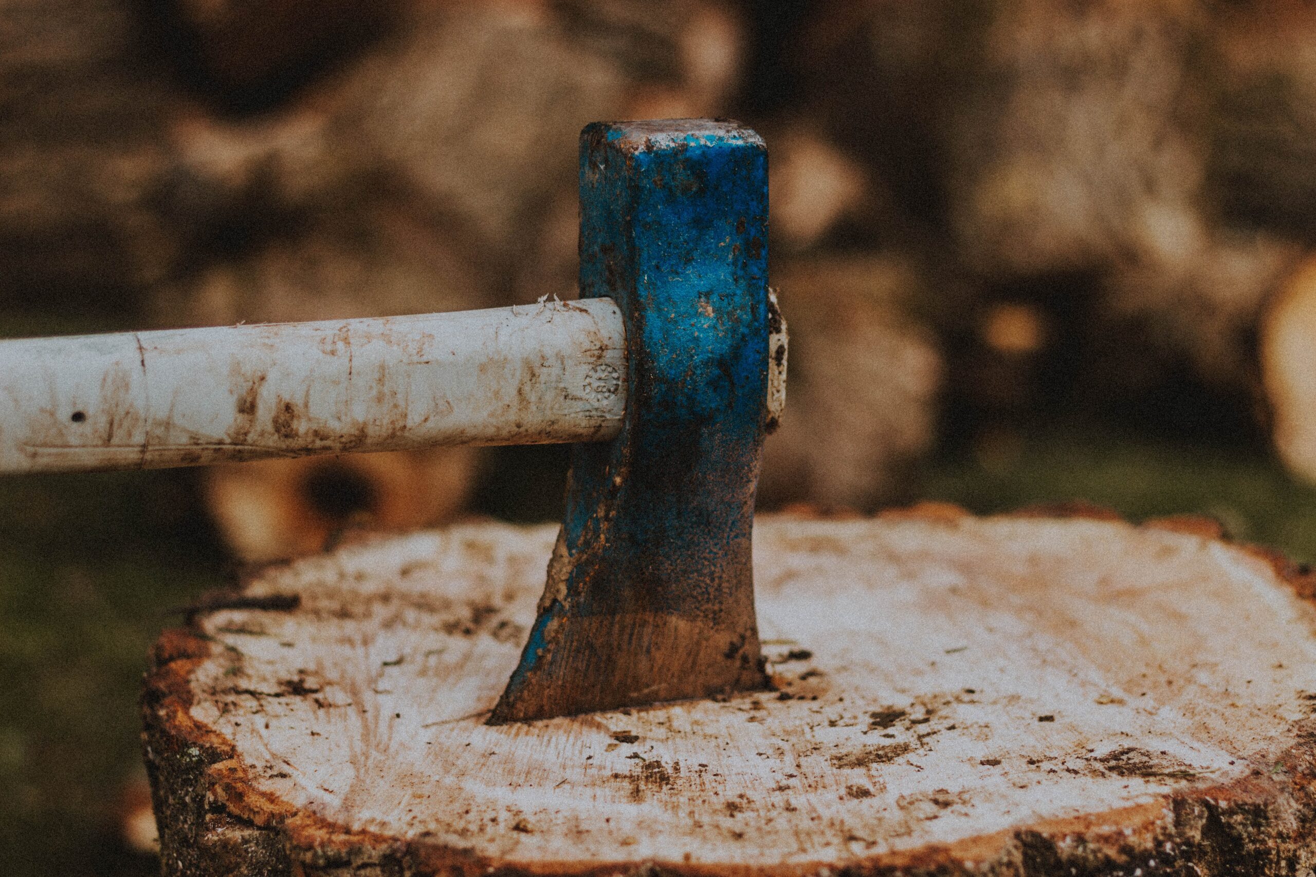 Axe in Tree Stump