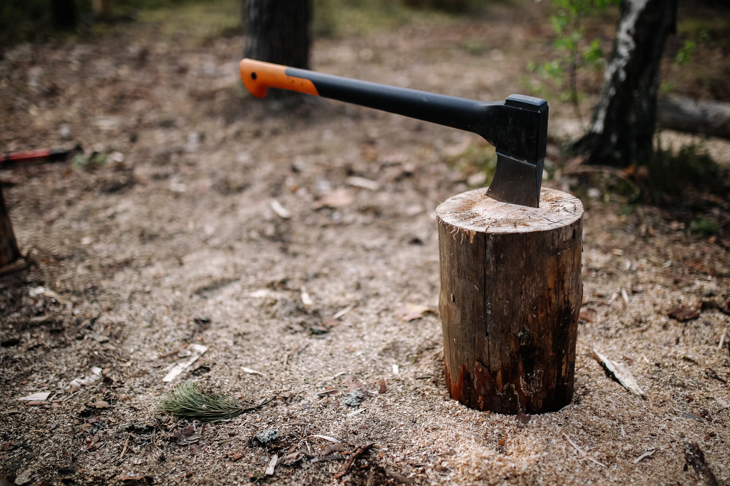 axe in tree stump